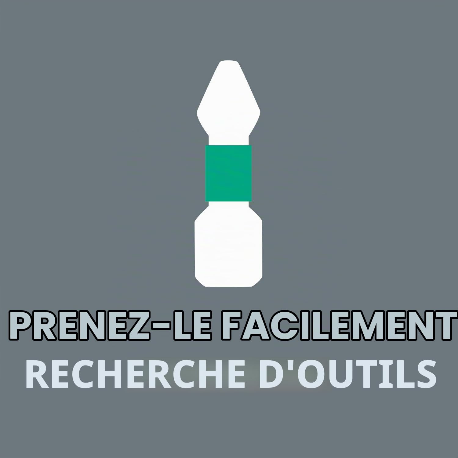 wera-8700-9-btz-bit-check-rapidaptor-jeu-de-10-embouts-bitorsion-et-porte-embout image 3