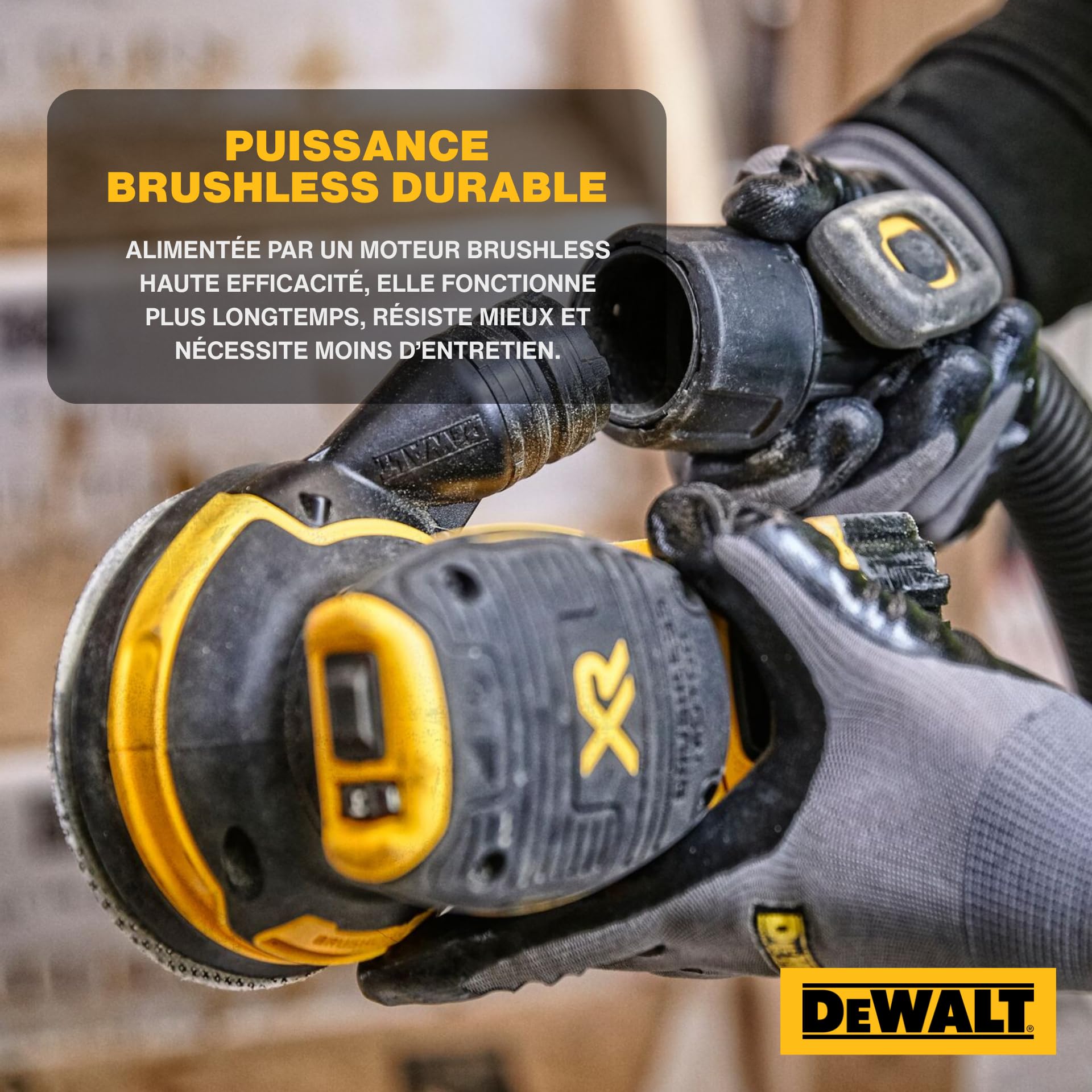 dewalt-dcw210nt-xj-ponceuse-excentrique-xr-18v-brushless-125mm-variateur-de-vite image 2