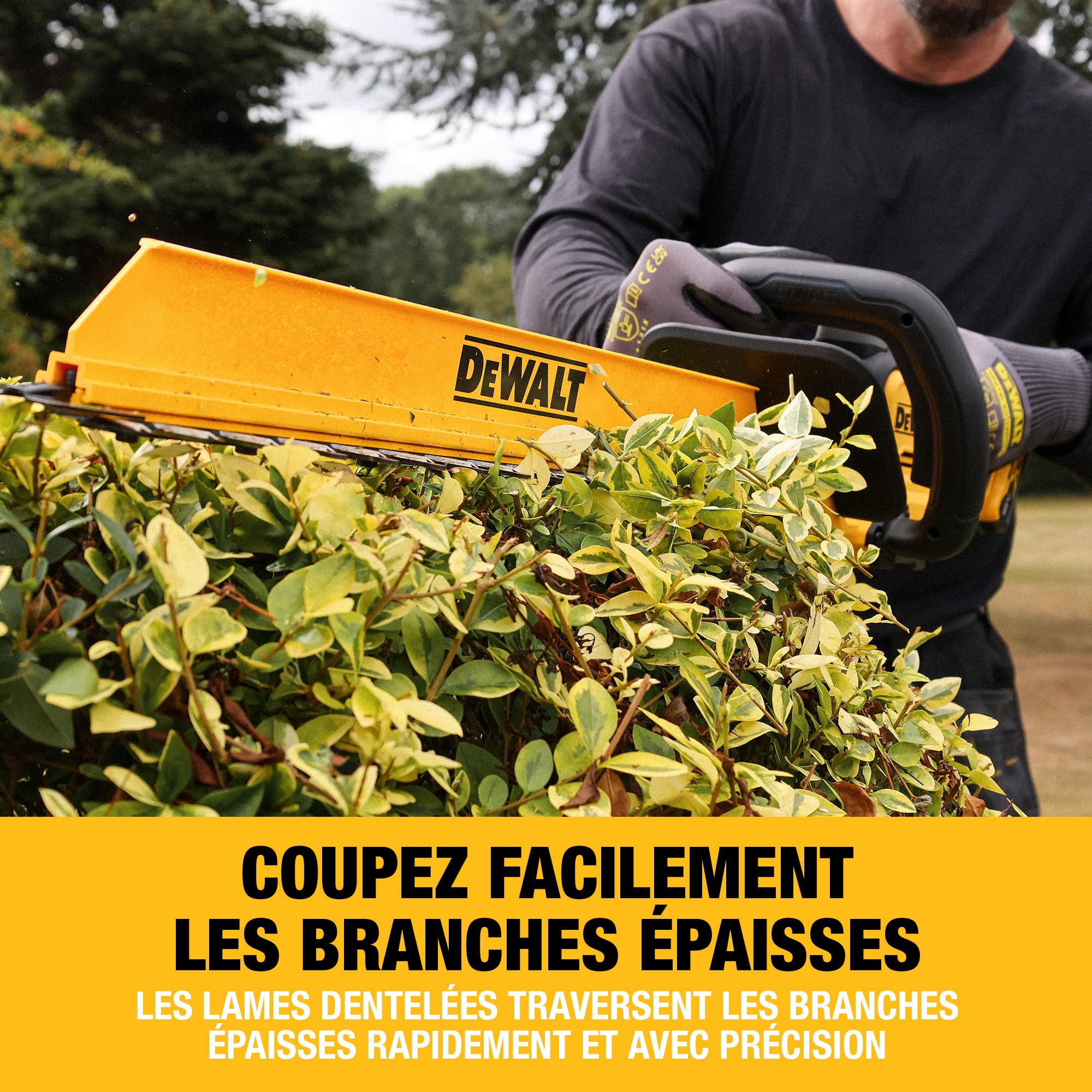 dewalt-dcmht567n-xj-taille-haie-18v-xr-60-cm-brushless-avec-lame-double-action-2 image 2