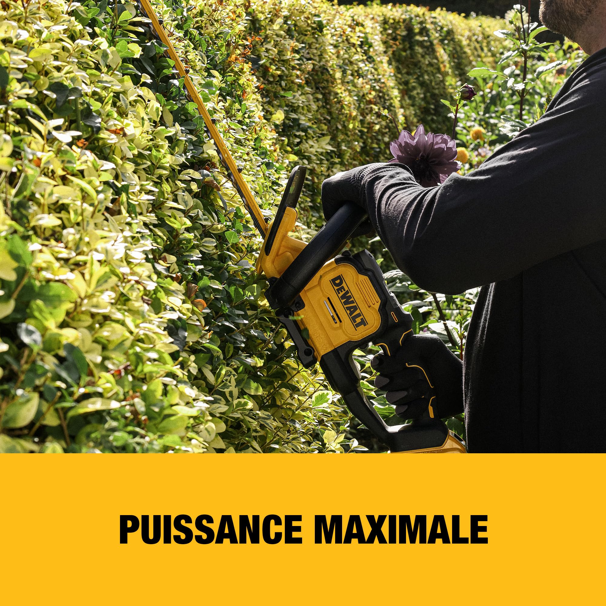 dewalt-dcmht567n-xj-taille-haie-18v-xr-60-cm-brushless-avec-lame-double-action-2 image 3